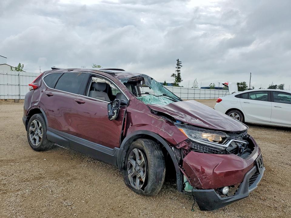 Продаж на аукціоні авто 2019 Honda Cr-v, vin: 5J6RW2H5XKL021399, номер лоту: 65024346
