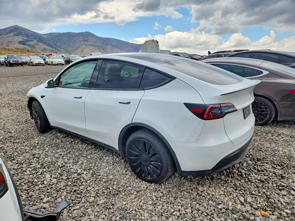Продаж на аукціоні авто 2024 Tesla Model Y, vin: 7SAYGDEE7RA259139, номер лоту: 64467406
