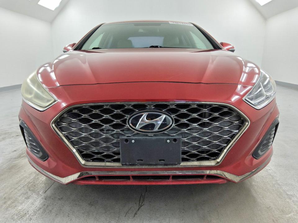 Продаж на аукціоні авто 2019 Hyundai Sonata, vin: 5NPE34AF6KH749771, номер лоту: 63769496