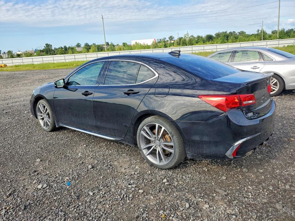 Продаж на аукціоні авто 2020 Acura Tlx, vin: 19UUB3F85LA801887, номер лоту: 65118526