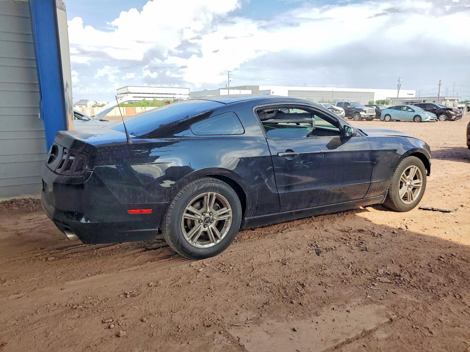 2014 Ford Mustang მანქანა იყიდება აუქციონზე, vin: 1ZVBP8AM3E5321820, აუქციონის ნომერი: 64445766