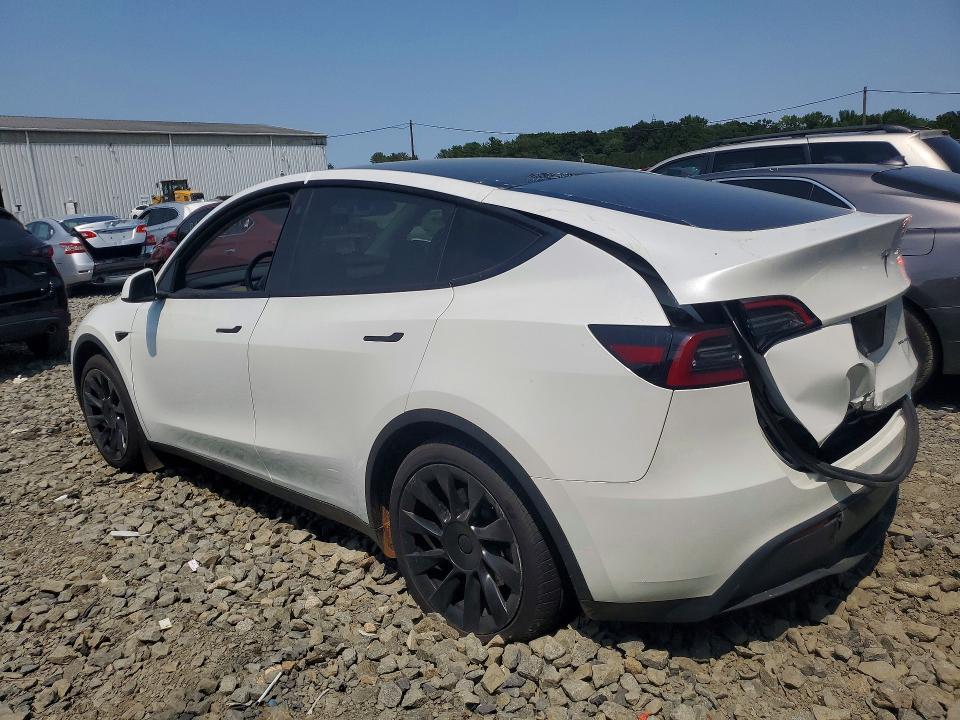 Aukcja sprzedaży 2023 Tesla Model Y, vin: 7SAYGAEE7PF742600, numer aukcji: 65005716
