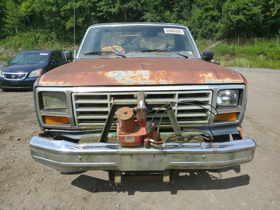 1986 Ford F150 მანქანა იყიდება აუქციონზე, vin: 2FTEF14N9GCB78959, აუქციონის ნომერი: 65605356
