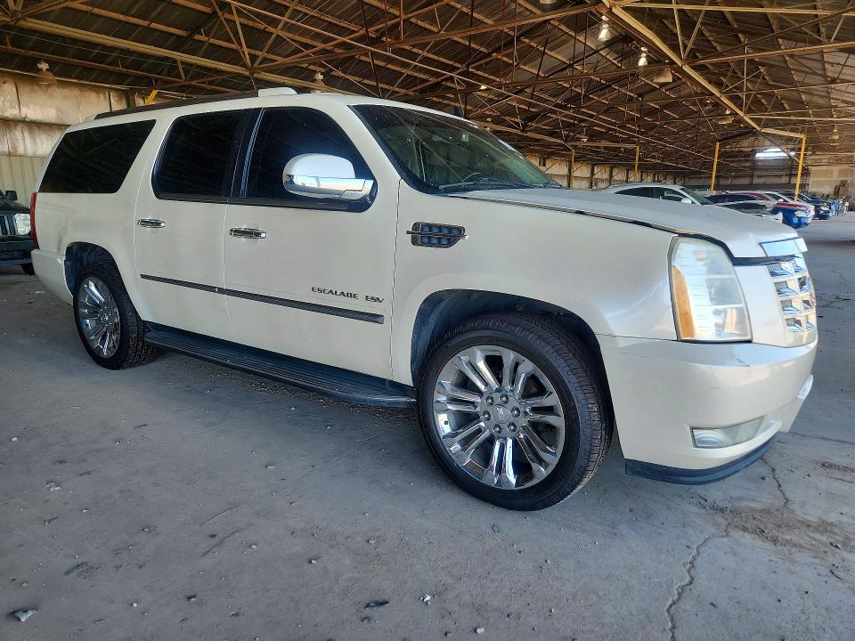 2010 Cadillac Escalade მანქანა იყიდება აუქციონზე, vin: 1GYUKHEF2AR135558, აუქციონის ნომერი: 65750106