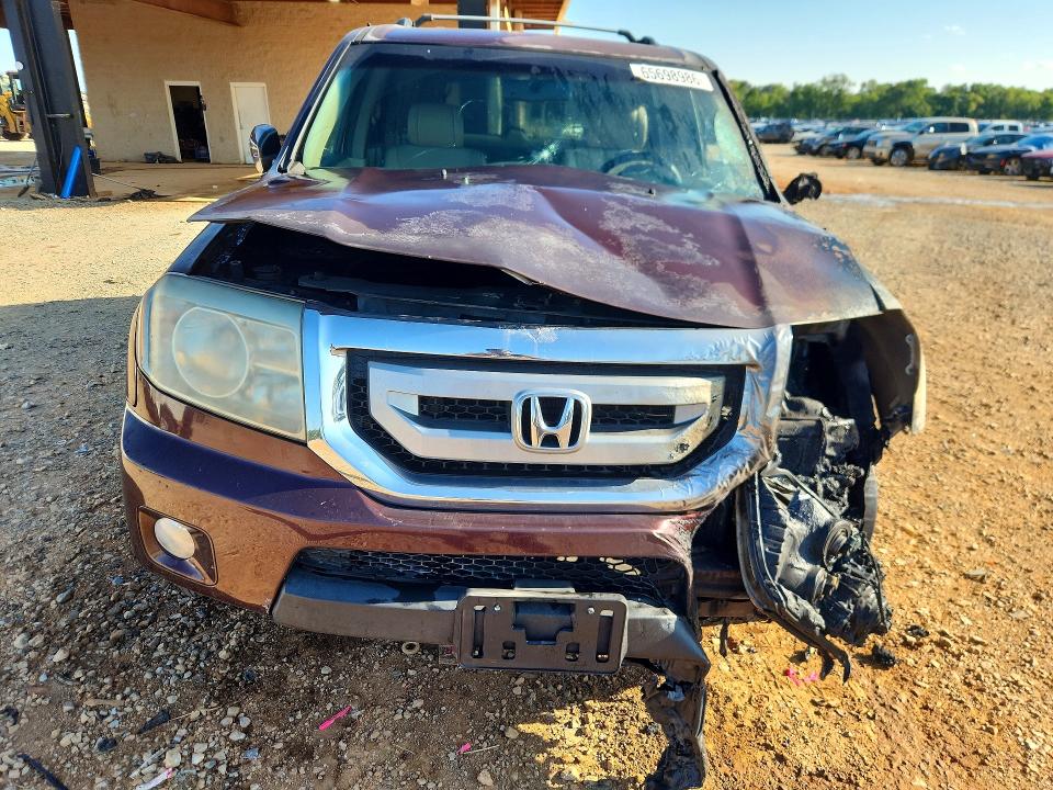 Продаж на аукціоні авто 2010 Honda Pilot, vin: 5FNYF4H55AB022636, номер лоту: 65698986