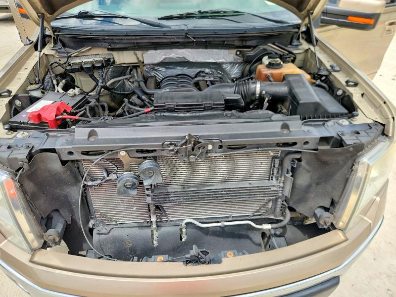 63598146 :رقم المزاد ، 1FTFW1EF1DFA58360 vin ، 2013 Ford F150 مزاد بيع