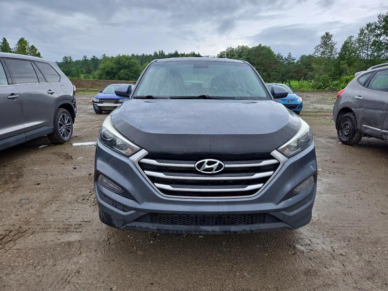 Продаж на аукціоні авто 2017 Hyundai Tucson, vin: KM8J2CA44HU545006, номер лоту: 62300666
