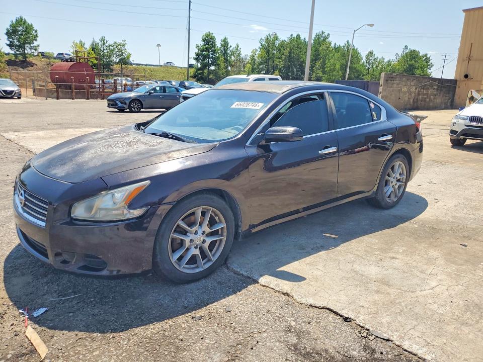 65028746 :رقم المزاد ، 1N4AA5APXAC823597 vin ، 2010 Nissan Maxima مزاد بيع