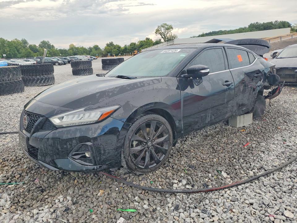 Продаж на аукціоні авто 2021 Nissan Maxima, vin: 1N4AA6EV6MC502448, номер лоту: 64281426