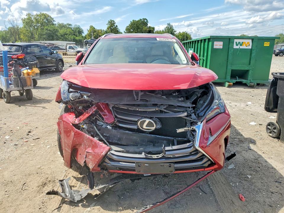 66499076 :رقم المزاد ، JTJBARBZXF2013015 vin ، 2015 Lexus Nx مزاد بيع