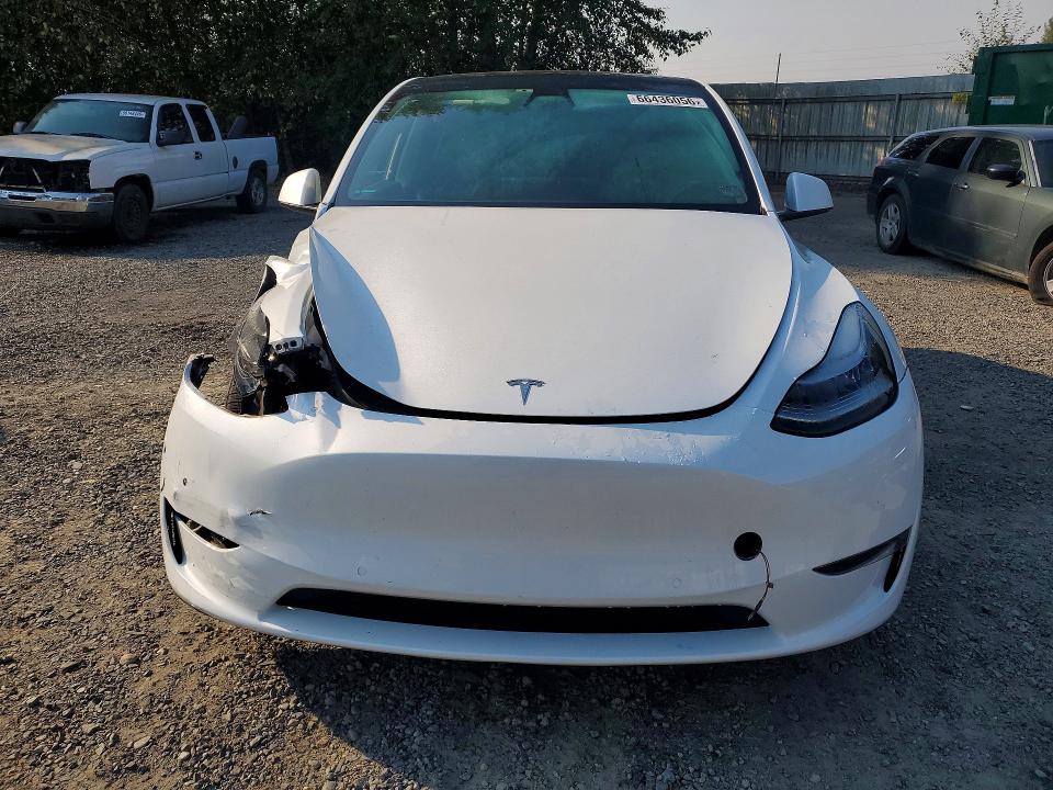 Aukcja sprzedaży 2021 Tesla Model Y, vin: 5YJYGDEE8MF153078, numer aukcji: 66436056
