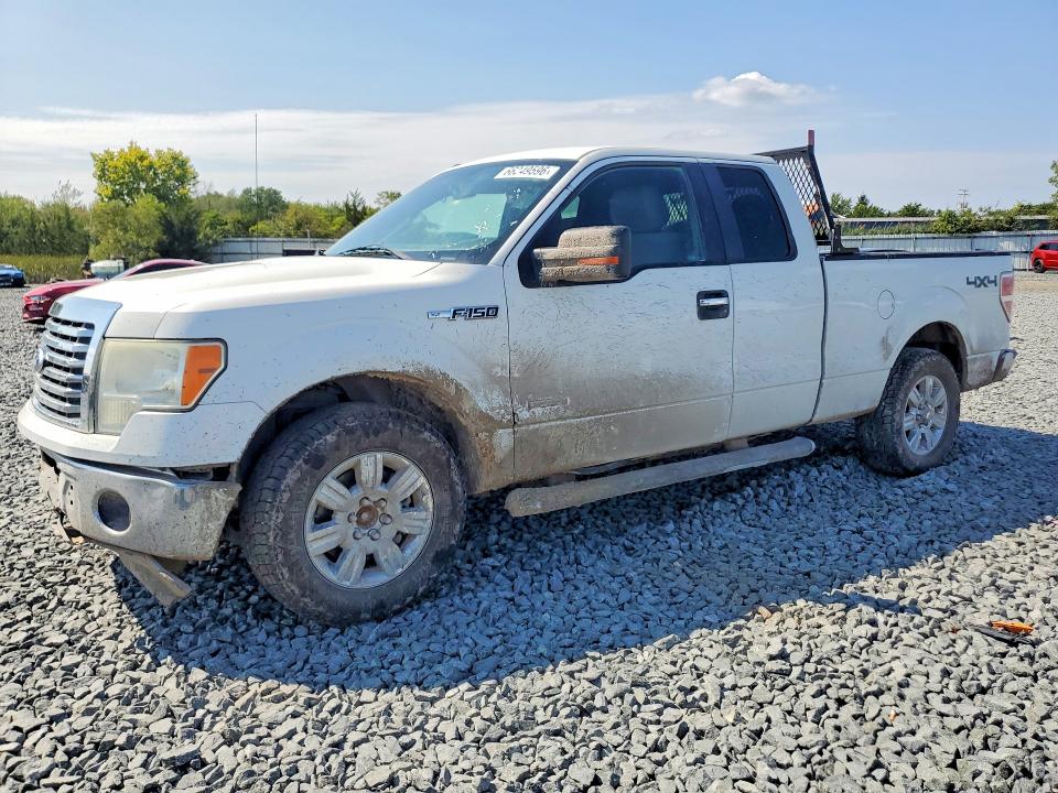 2012 Ford F150 მანქანა იყიდება აუქციონზე, vin: 1FTFX1ET1CFA67884, აუქციონის ნომერი: 66249596
