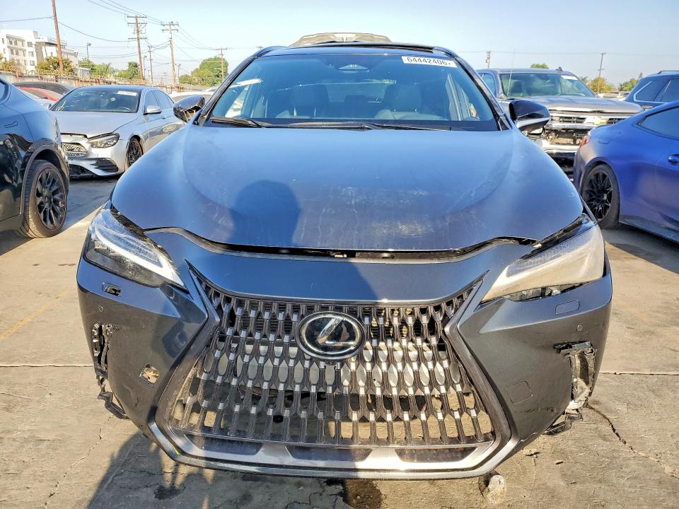 Продажа на аукционе авто 2025 Lexus Nx 350, vin: 2T2KGCEZ7SC087302, номер лота: 64442406
