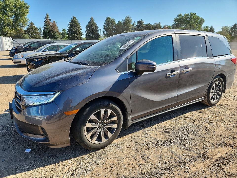 Auction sale of the 2023 Honda Odyssey, vin: 5FNRL6H63PB059078, lot number: 66615186