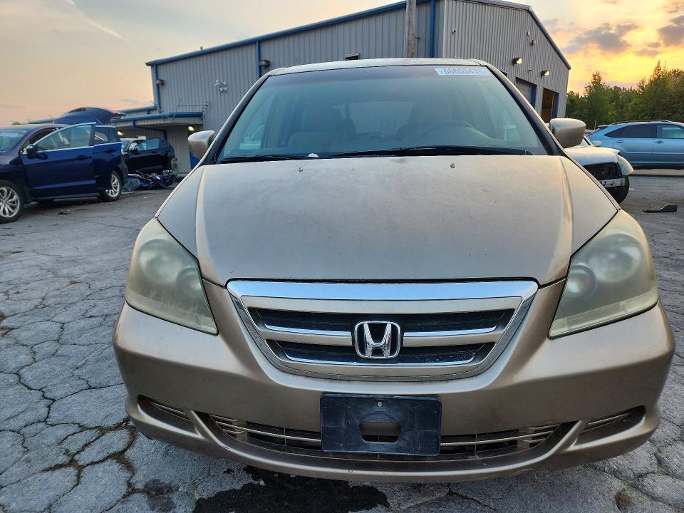 Продаж на аукціоні авто 2005 Honda Odyssey, vin: 5FNRL38455B400118, номер лоту: 66655436