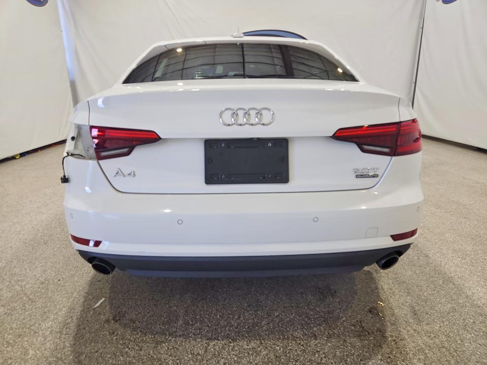 64852666 :رقم المزاد ، WAUANAF48HN002645 vin ، 2017 Audi A4 مزاد بيع