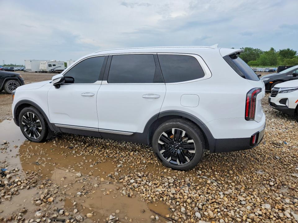2024 Kia Telluride მანქანა იყიდება აუქციონზე, vin: 5XYP5DGC8RG414206, აუქციონის ნომერი: 63905996