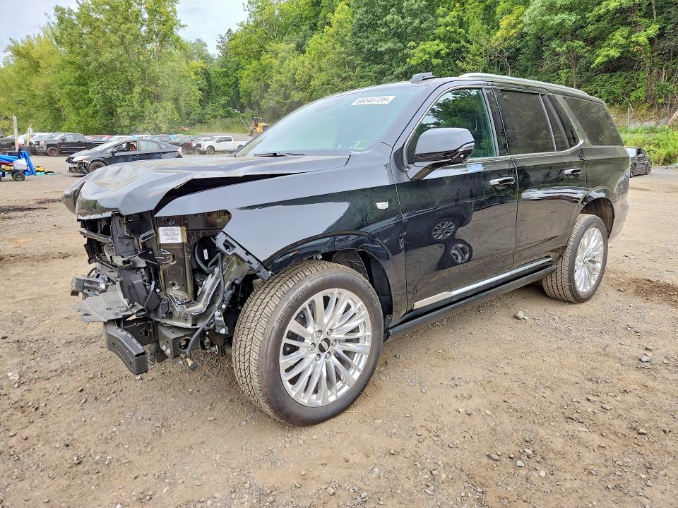 Продажа на аукционе авто 2025 Cadillac Escalade, vin: 1GYS9CRL6SR298415, номер лота: 66546726