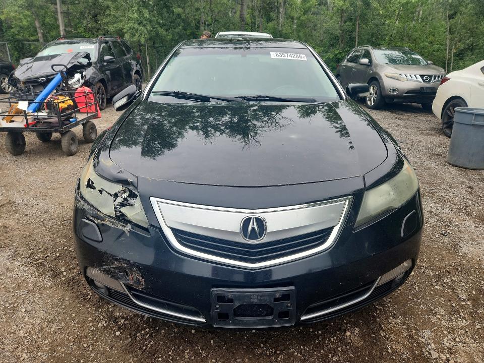 63574286 :رقم المزاد ، 19UUA9F78DA800988 vin ، 2013 Acura Tl مزاد بيع