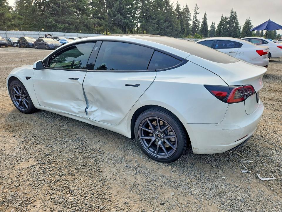 61448106 :رقم المزاد ، 5YJ3E1EA4PF641539 vin ، 2023 Tesla Model 3 مزاد بيع