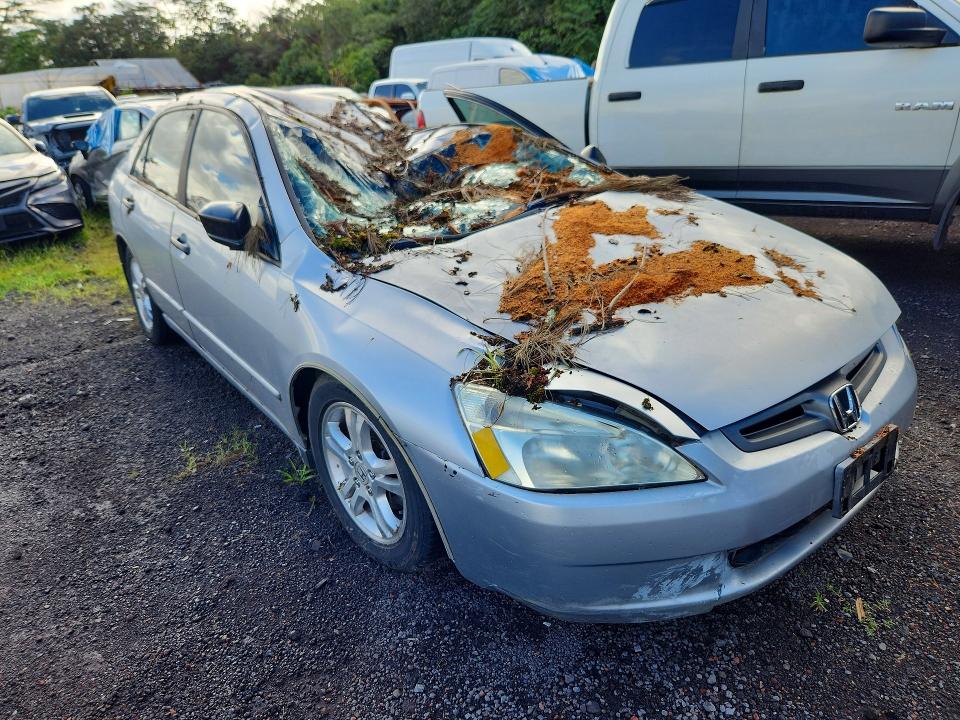 2005 Honda Accord მანქანა იყიდება აუქციონზე, vin: 1HGCM56155A148047, აუქციონის ნომერი: 66347616