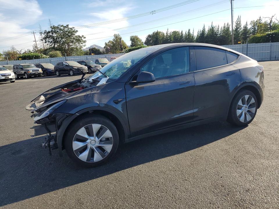 64664536 :رقم المزاد ، 7SAYGDEE3RF031884 vin ، 2024 Tesla Model Y مزاد بيع