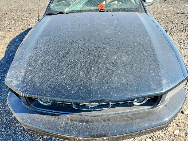 Aukcja sprzedaży 2009 Ford Mustang, vin: 1ZVHT84N595107377, numer aukcji: 64031196
