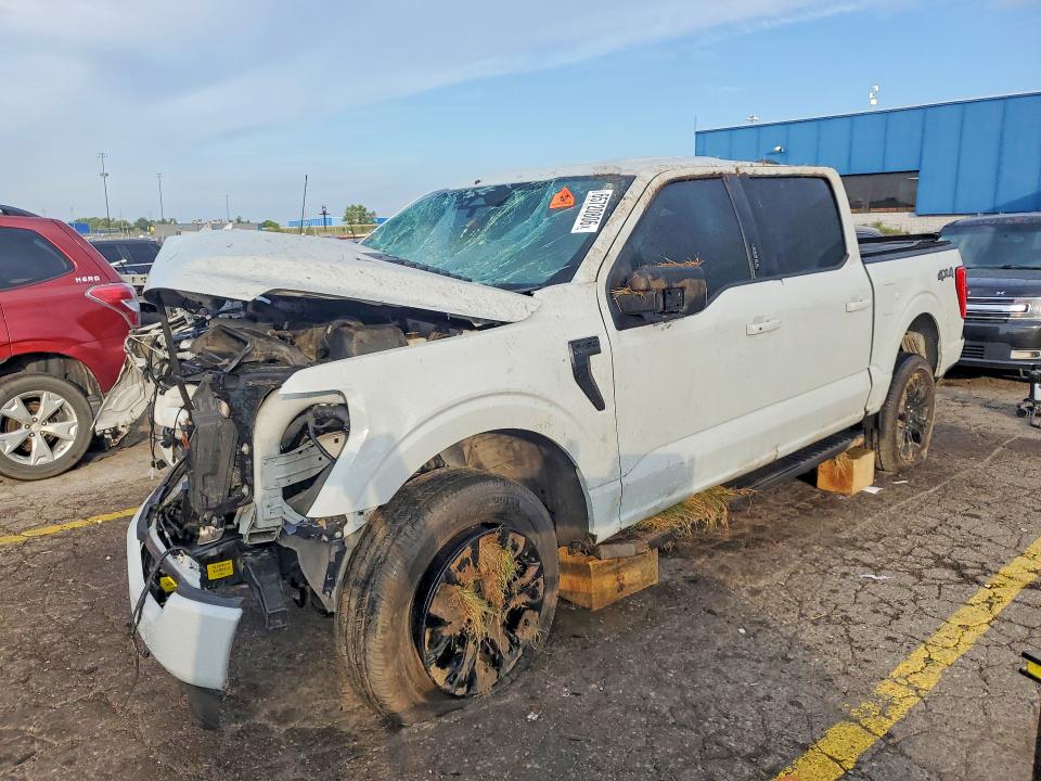 2023 Ford F150 მანქანა იყიდება აუქციონზე, vin: 1FTFW1E88PFA77980, აუქციონის ნომერი: 65720806