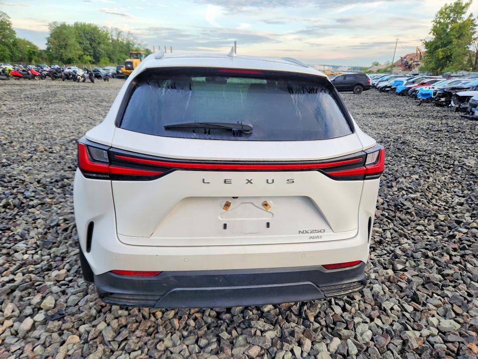 Продаж на аукціоні авто 2025 Lexus Nx 250, vin: 2T2ADCEZ9SC005509, номер лоту: 65487076
