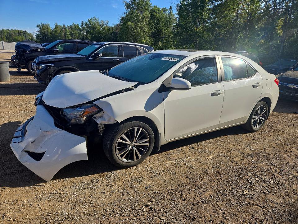 Auction sale of the 2019 Toyota Corolla, vin: 2T1BURHE4KC226519, lot number: 65675416
