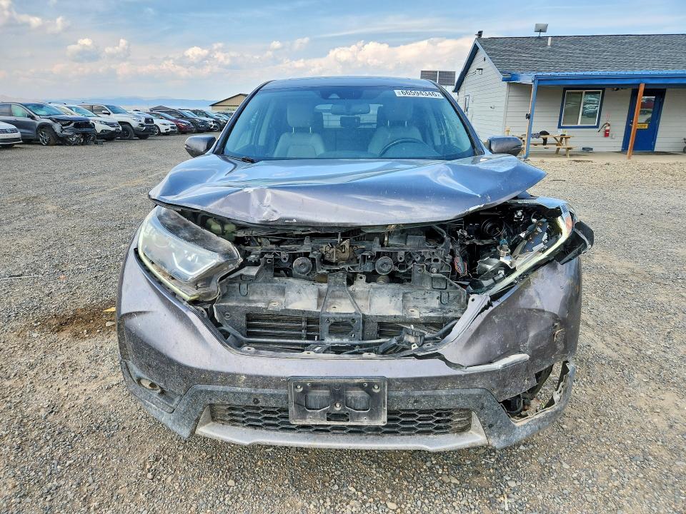 Aukcja sprzedaży 2019 Honda Cr-v, vin: JHLRW2H87KX022604, numer aukcji: 66594346