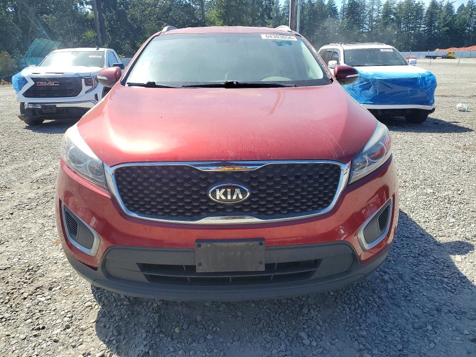 64303056 :رقم المزاد ، 5XYPG4A52HG311933 vin ، 2017 Kia Sorento مزاد بيع