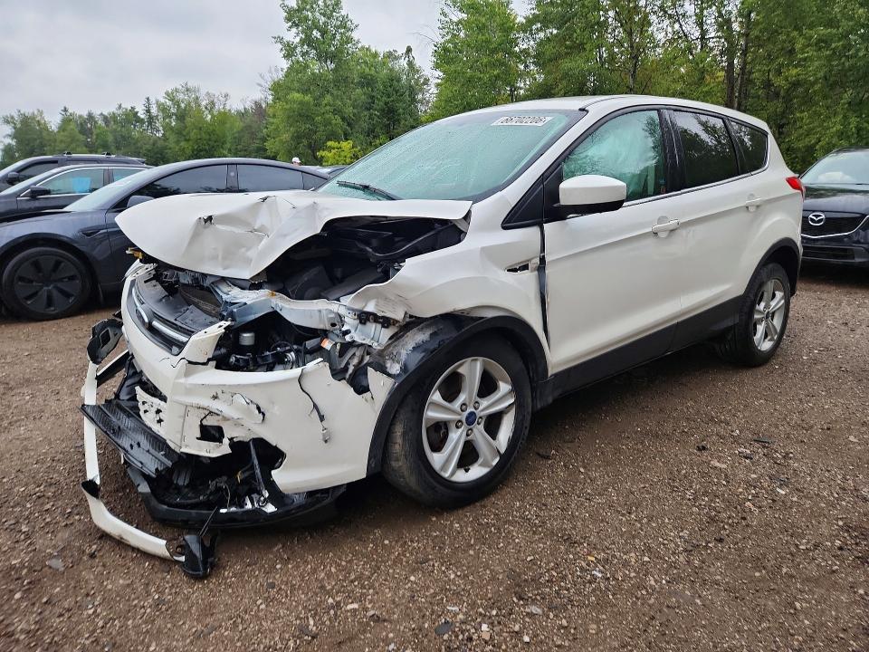 66702206 :رقم المزاد ، 1FMCU0G90EUC70539 vin ، 2014 Ford Escape مزاد بيع