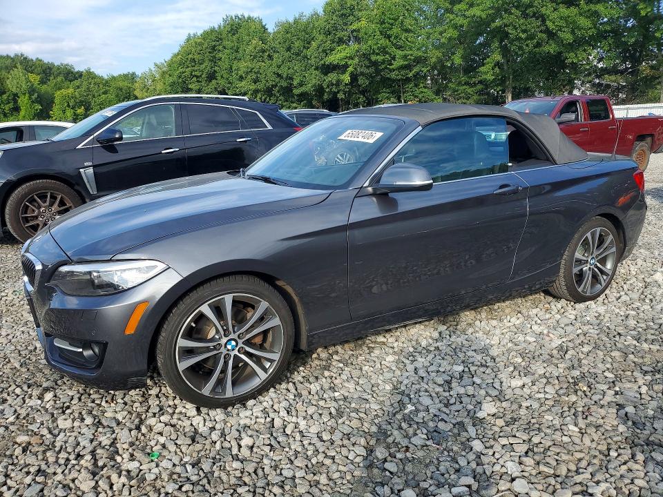 Aukcja sprzedaży 2017 Bmw 230xi, vin: WBA2M9C58HV717198, numer aukcji: 65082406