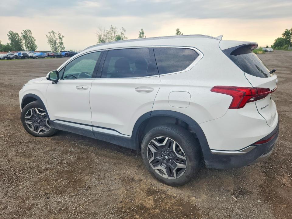 2023 Hyundai Santa Fe მანქანა იყიდება აუქციონზე, vin: KM8S5DA1XPU090345, აუქციონის ნომერი: 64452606