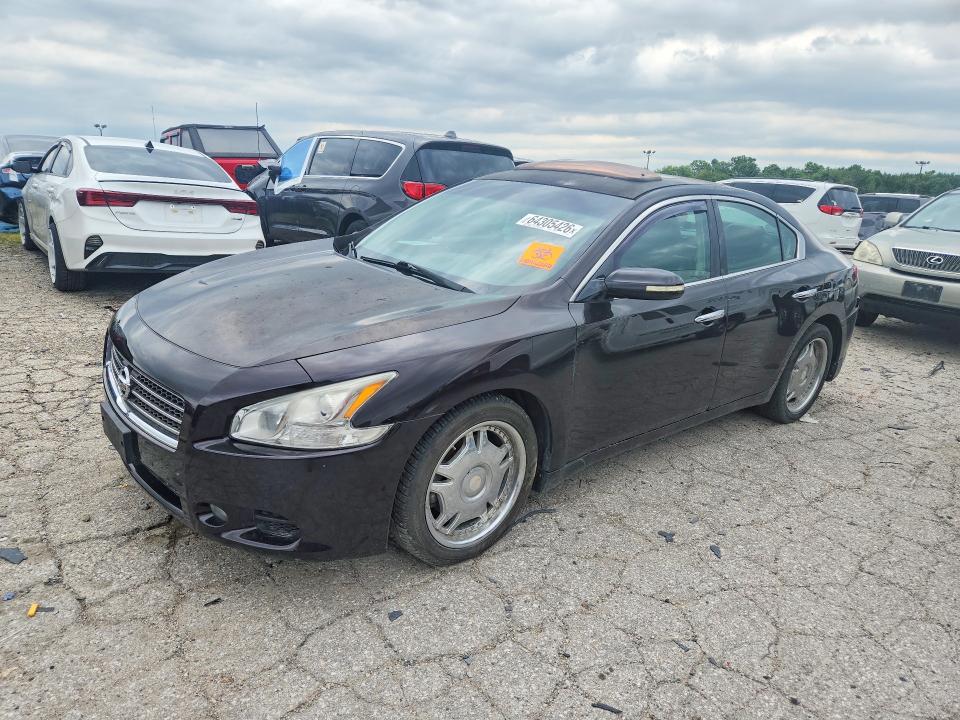Продажа на аукционе авто 2010 Nissan Maxima, vin: 1N4AA5AP1AC813251, номер лота: 64305426
