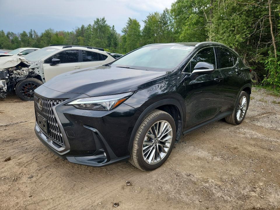2026 Lexus Nx მანქანა იყიდება აუქციონზე, vin: 2T2GGCEZ8TC097053, აუქციონის ნომერი: 64995666