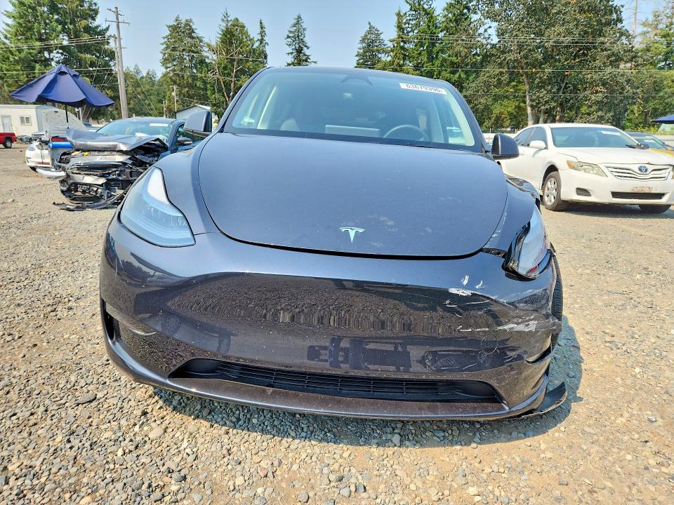 Aukcja sprzedaży 2024 Tesla Model Y, vin: 7SAYGDEE1RF992791, numer aukcji: 63679396