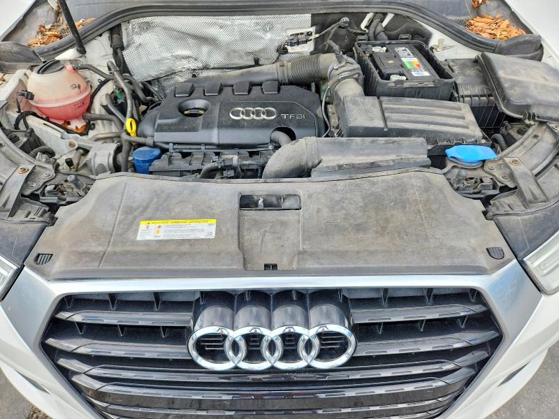 Продаж на аукціоні авто 2017 Audi Q3, vin: WA1BCCFS6HR016960, номер лоту: 66185626