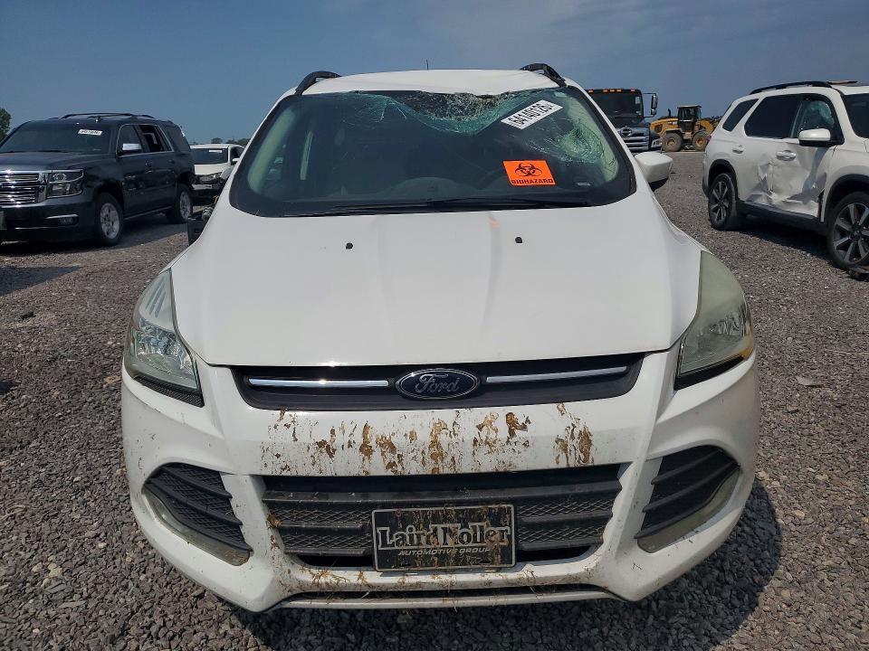 64140126 :رقم المزاد ، 1FMCU9G96DUB54913 vin ، 2013 Ford Escape مزاد بيع