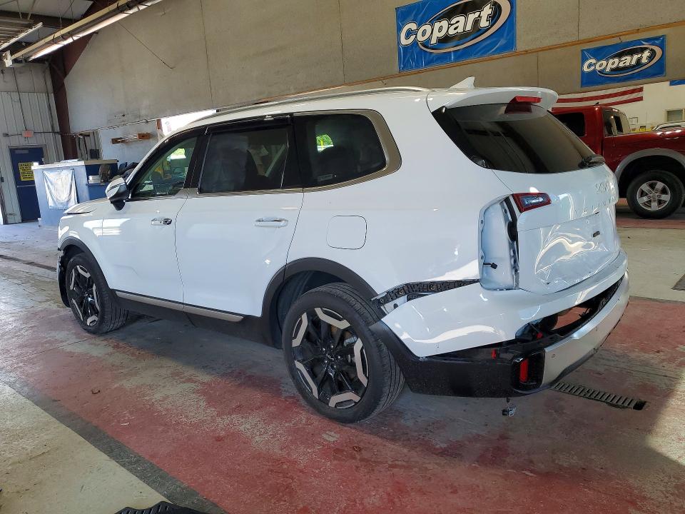 Продаж на аукціоні авто 2024 Kia Telluride, vin: 5XYP6DGC7RG476306, номер лоту: 64637596