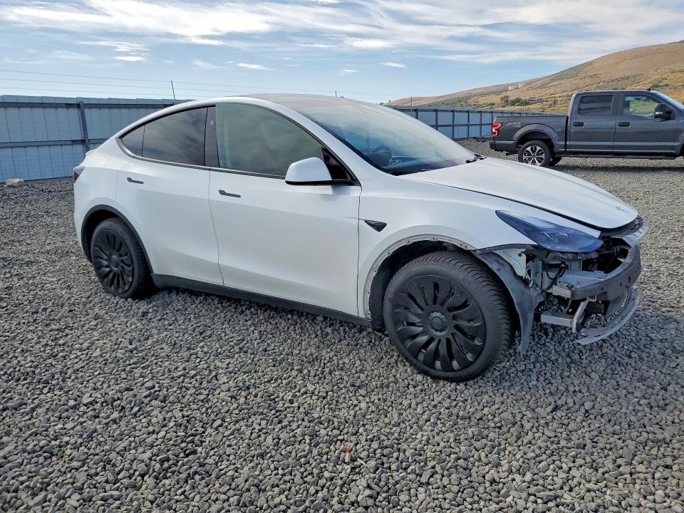Продаж на аукціоні авто 2024 Tesla Model Y, vin: 7SAYGDEE7RA259139, номер лоту: 64467406