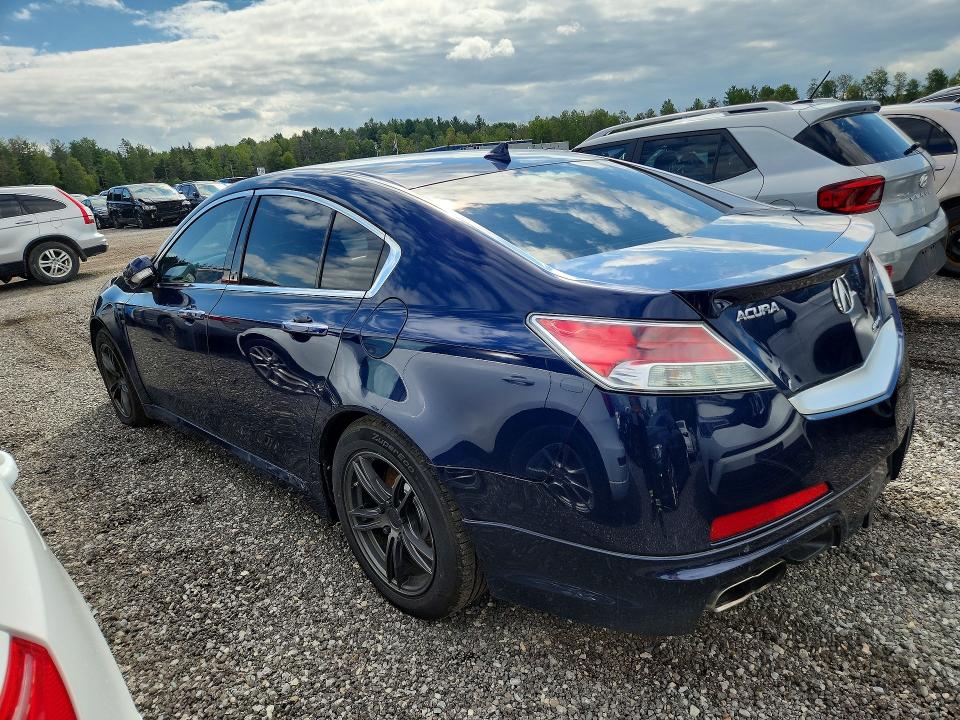 Продаж на аукціоні авто 2009 Acura Tl, vin: 19UUA96539A800855, номер лоту: 64964976