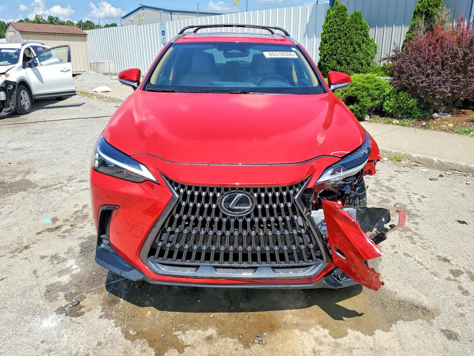 Продажа на аукционе авто 2025 Lexus Nx, vin: 2T2GGCEZ7SC080615, номер лота: 65518556