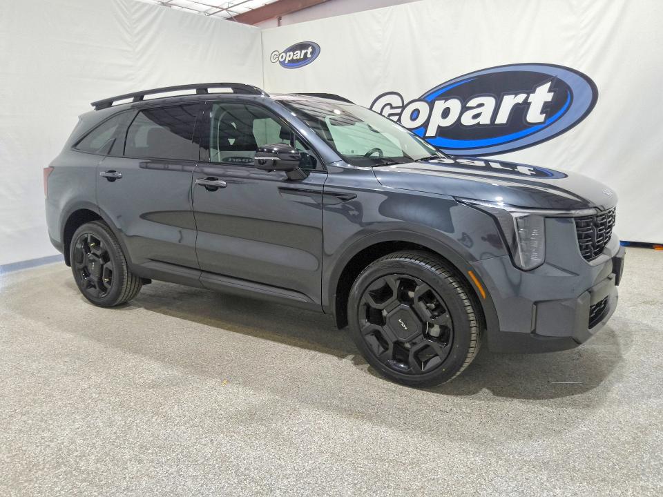 Продаж на аукціоні авто 2024 Kia Sorento, vin: 5XYRKDJF5RG263703, номер лоту: 66188406