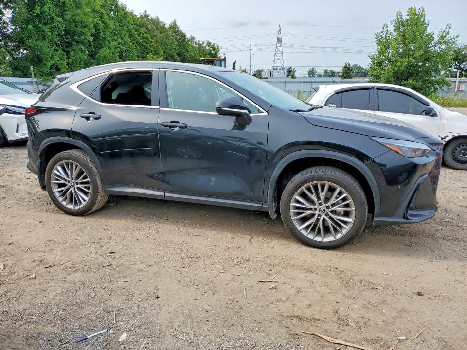 64807796 :رقم المزاد ، 2T2GKCEZ4RC017495 vin ، 2024 Lexus Nx مزاد بيع