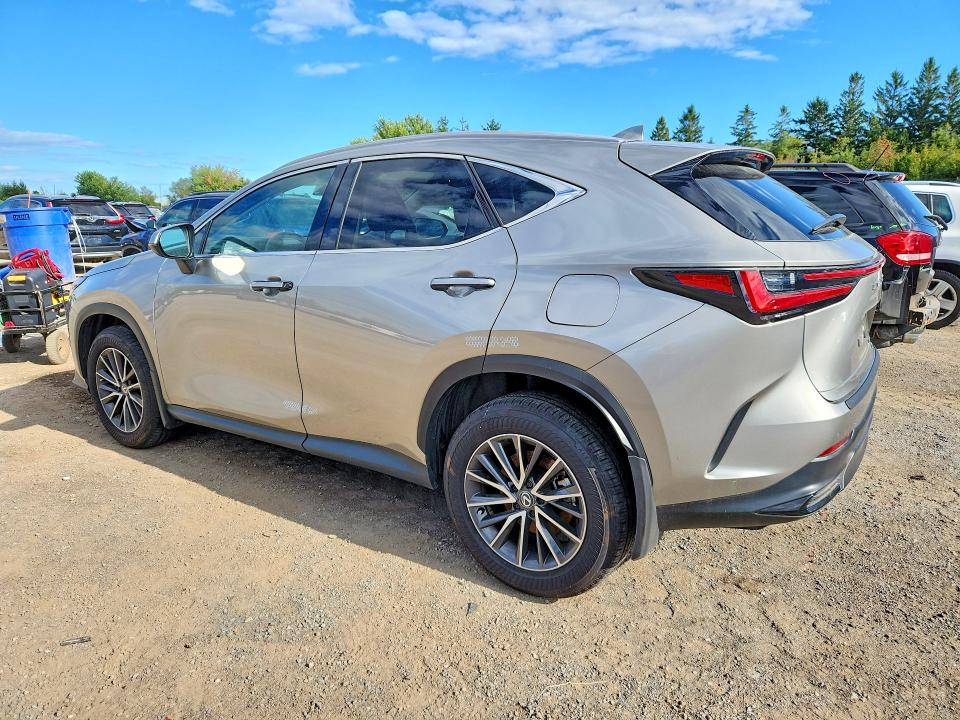 2025 Lexus Nx მანქანა იყიდება აუქციონზე, vin: 2T2GGCEZ7SC071302, აუქციონის ნომერი: 66336096