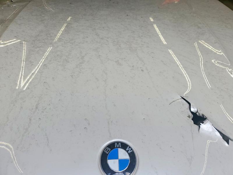 Aukcja sprzedaży 2024 Bmw X5, vin: 5UX23EU09R9S74554, numer aukcji: 65327186