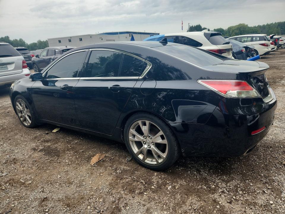 63574286 :رقم المزاد ، 19UUA9F78DA800988 vin ، 2013 Acura Tl مزاد بيع