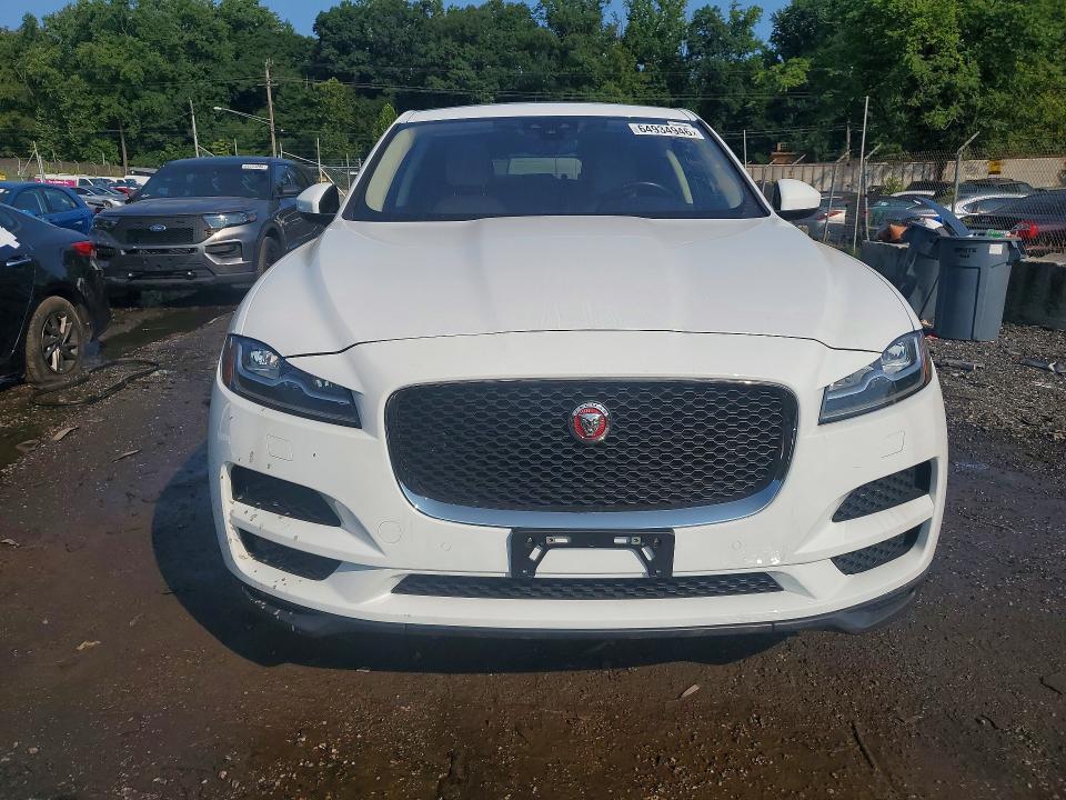 64934946 :رقم المزاد ، SADCK2GX4KA351923 vin ، 2019 Jaguar F-pace مزاد بيع